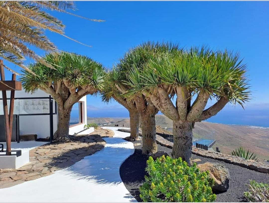 Casa La Tunera, Country House, Haria, Lanzarote Exteriör bild